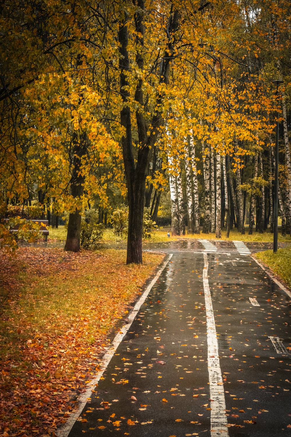 , Бравичева Анастасия