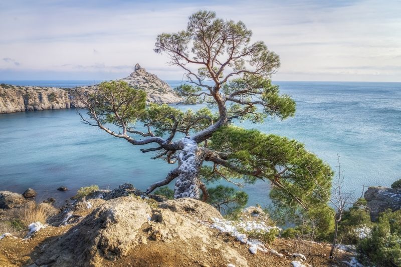 Крым в феврале фото превью