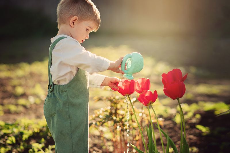 Юный садовод фото превью