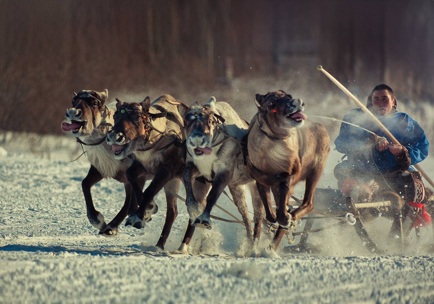 , Литвинов Геннадий