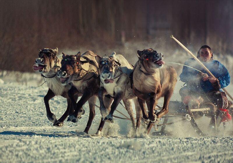 Бег фото превью