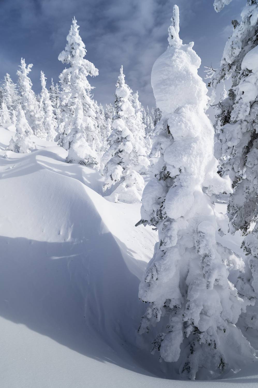 аргыджек, красноярский край, Андреева Светлана