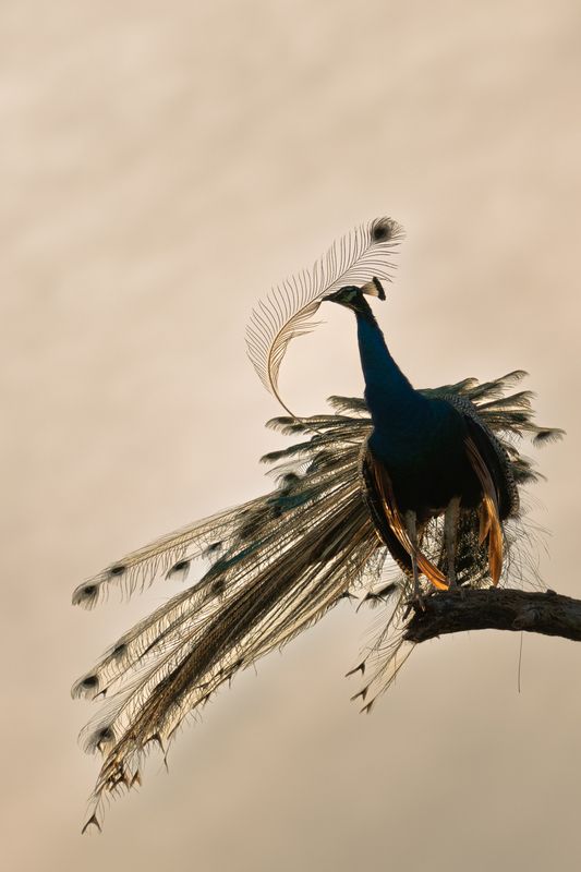 keep it clean!!! фото превью