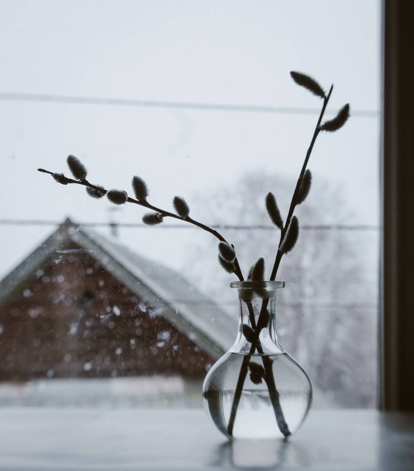 , Лофицкая Лариса