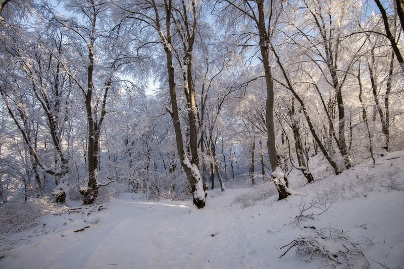 Зимний ажур фото превью