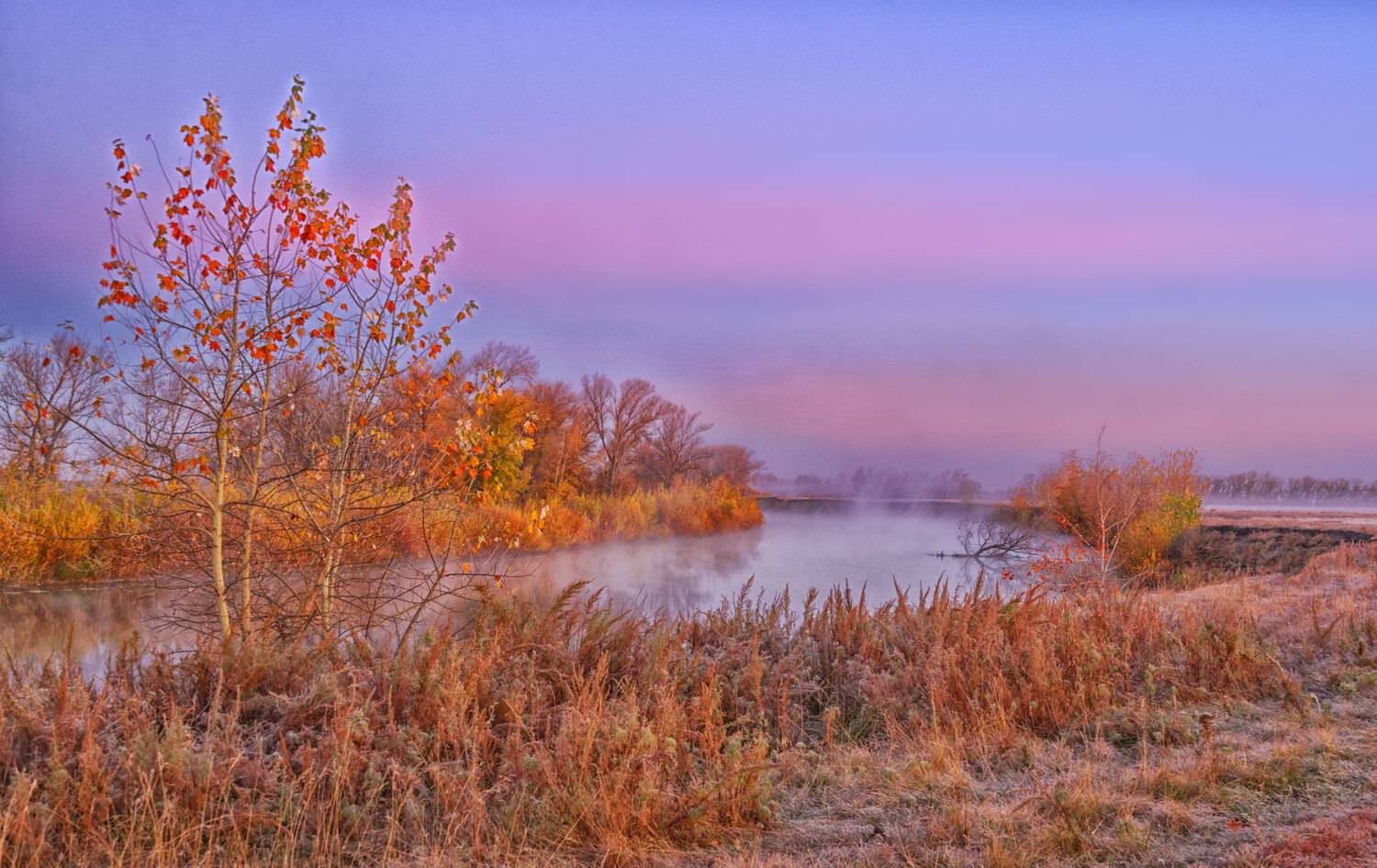Россия,пейзаж,туман, утро, Тобол, река, осень, Лариса Дука