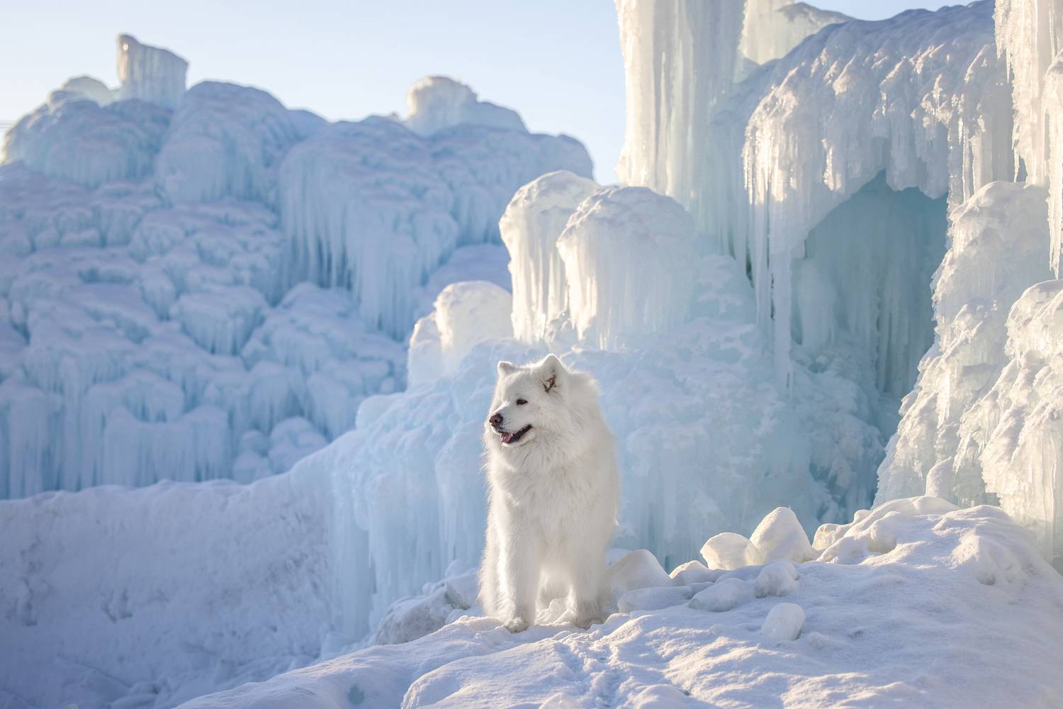 , Татьяна Тихомирова