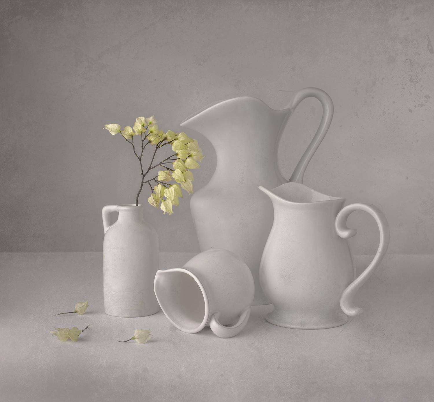 still life, white, Porcelain, flower, texture, Maria Margareth Perfoncio
