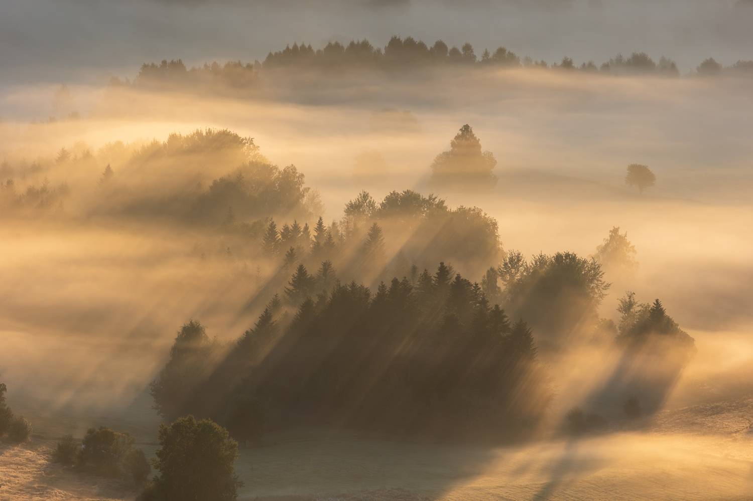 ,  Mirosław Pruchnicki