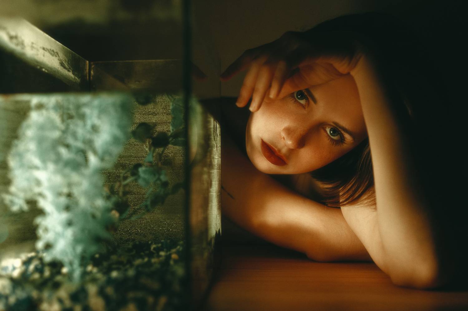 , Денис Труфанов