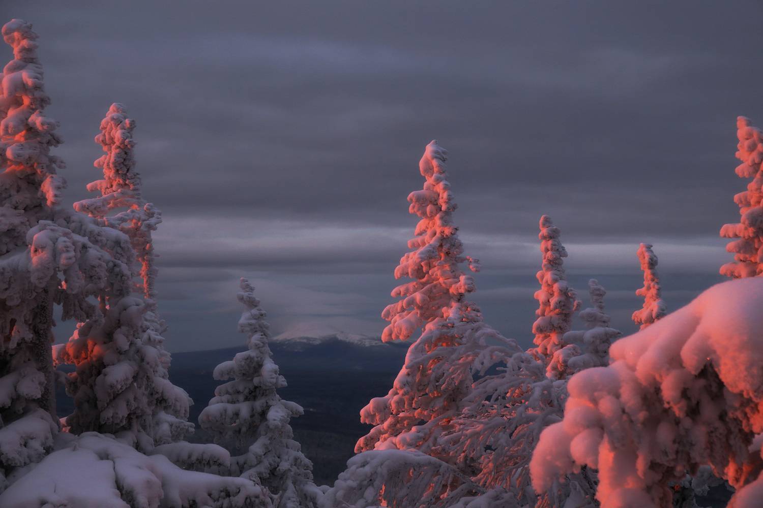 Два Брата, Третья сопка, Уреньга, Южный Урал, Урал, зимний пейзаж, Сергей Гарифуллин