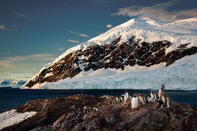 ПИНГВИНЬИ ХРОНИКИ - 2 фото превью