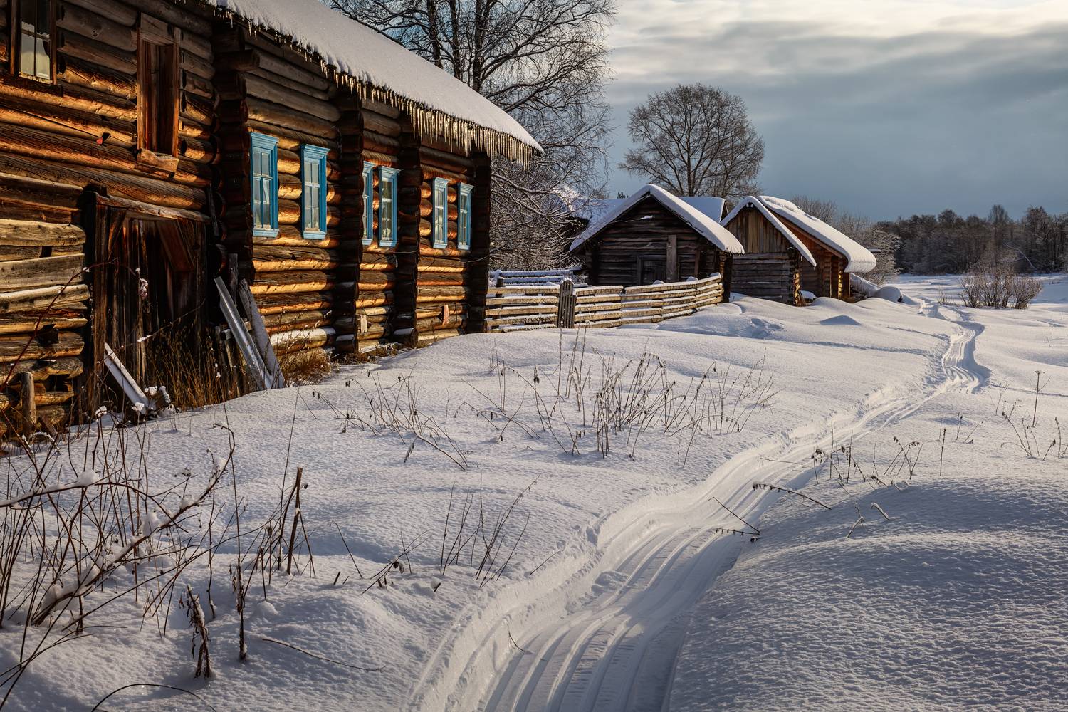 , Евдокимов Максим