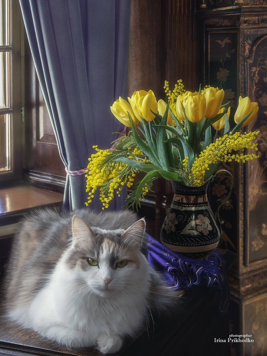 кошка, цветы, букеты, комната, весна, Приходько Ирина