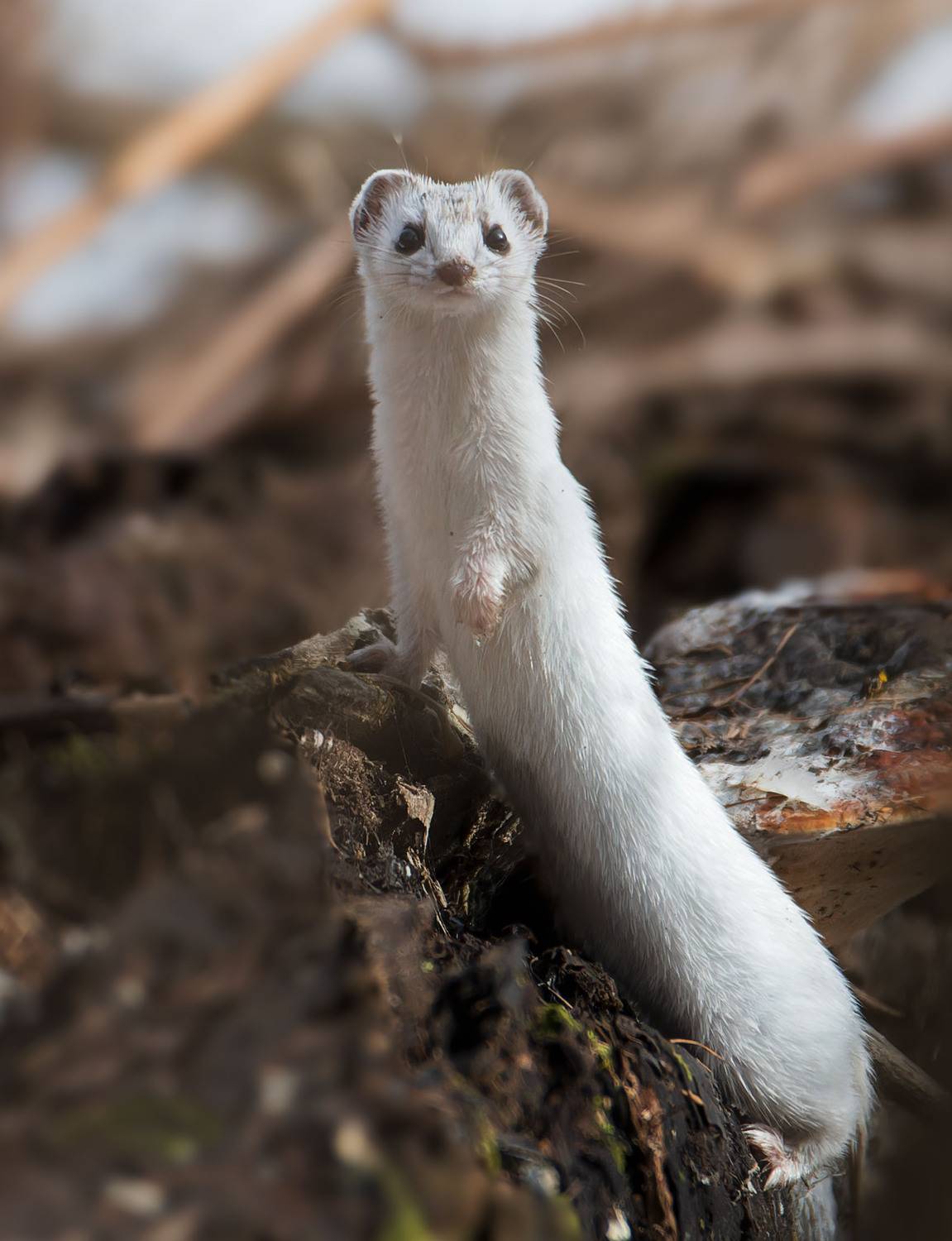 , Фото Александр