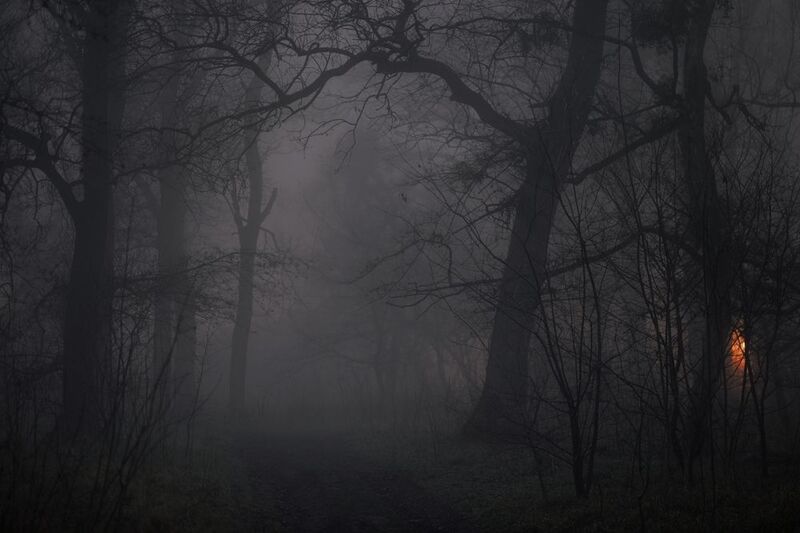 Ночной туман фото превью