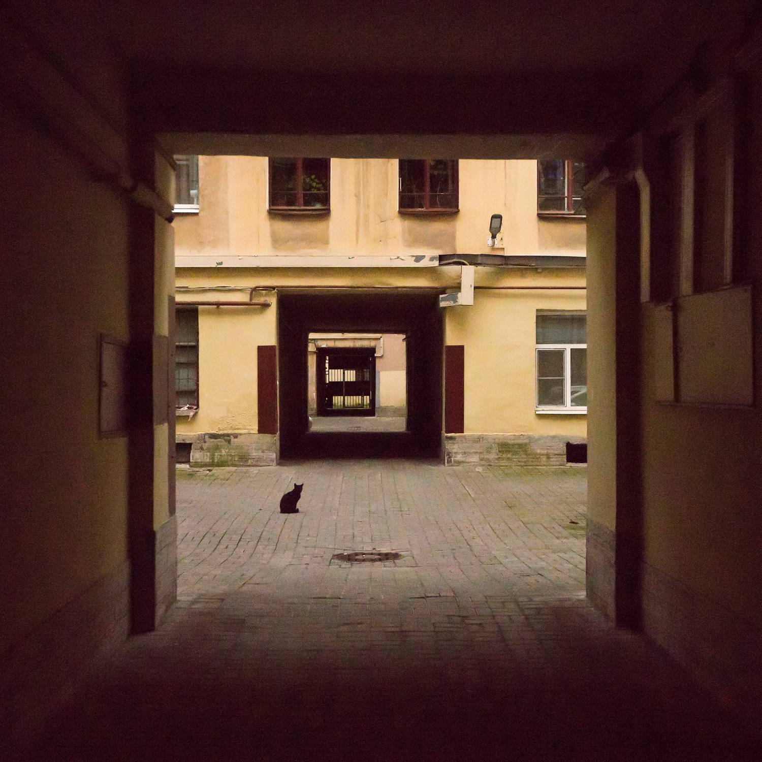 , Владислав Михайлов