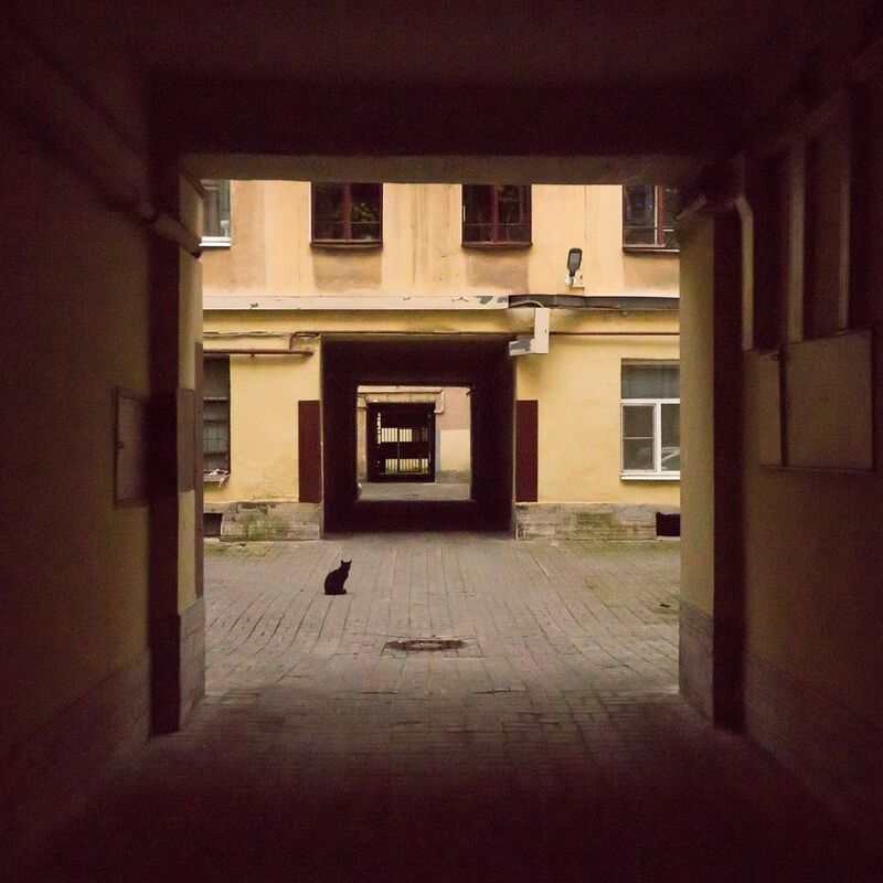 Питерский фрактальный Малевич - квадраты наличествуют, а из черного - кот. фото превью