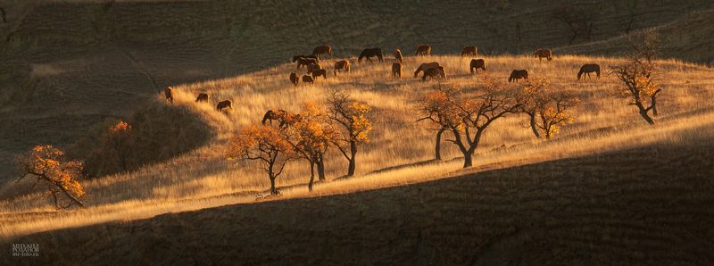 Кудали, Дагестан фото превью