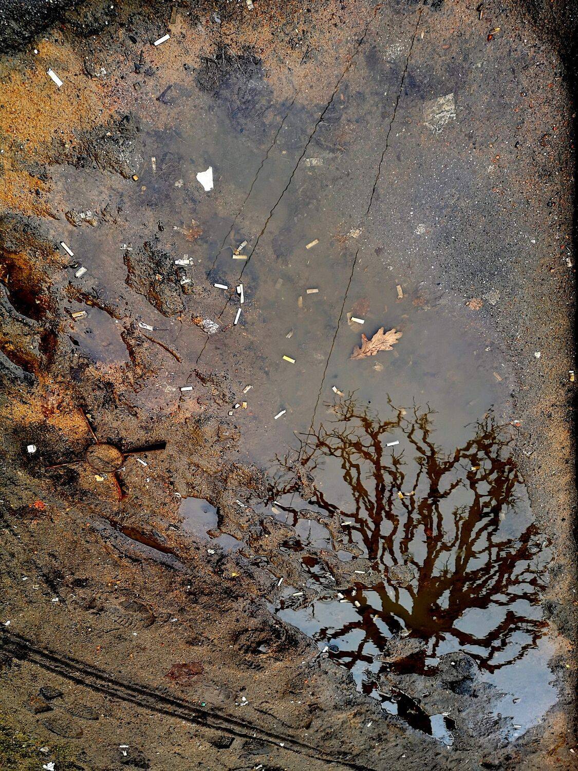 , Антон Лаба