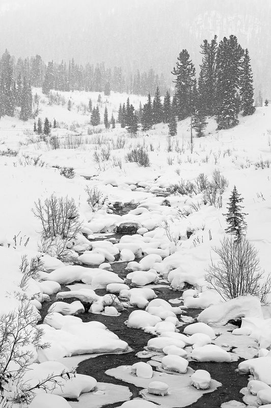 ергаки, саяны, красноярский край, горы Ергаки. После снегопада фото превью