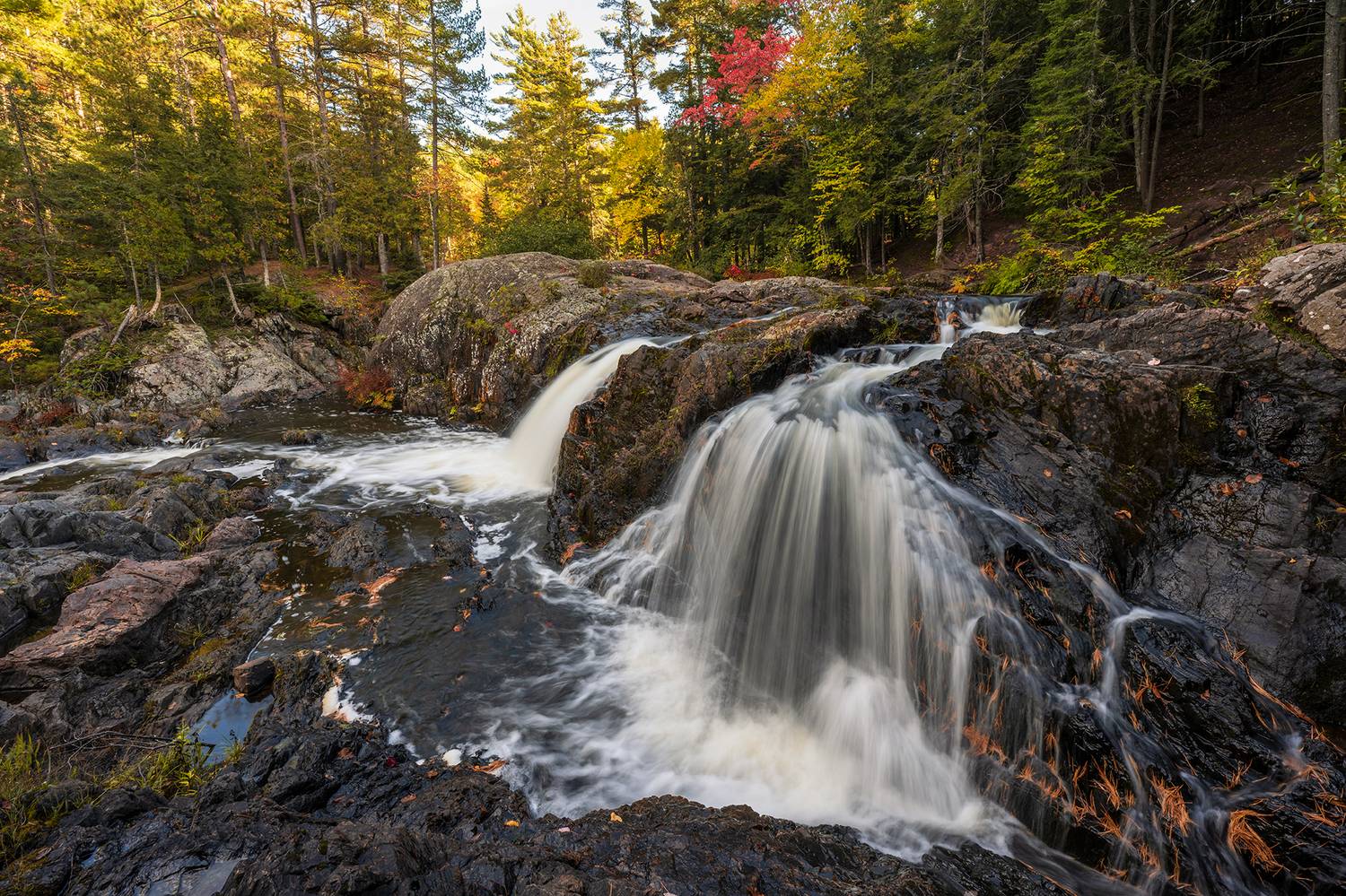 , Vladimir Vorobeychik