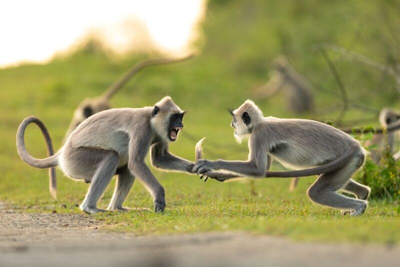 Your tale is in my hand фото превью