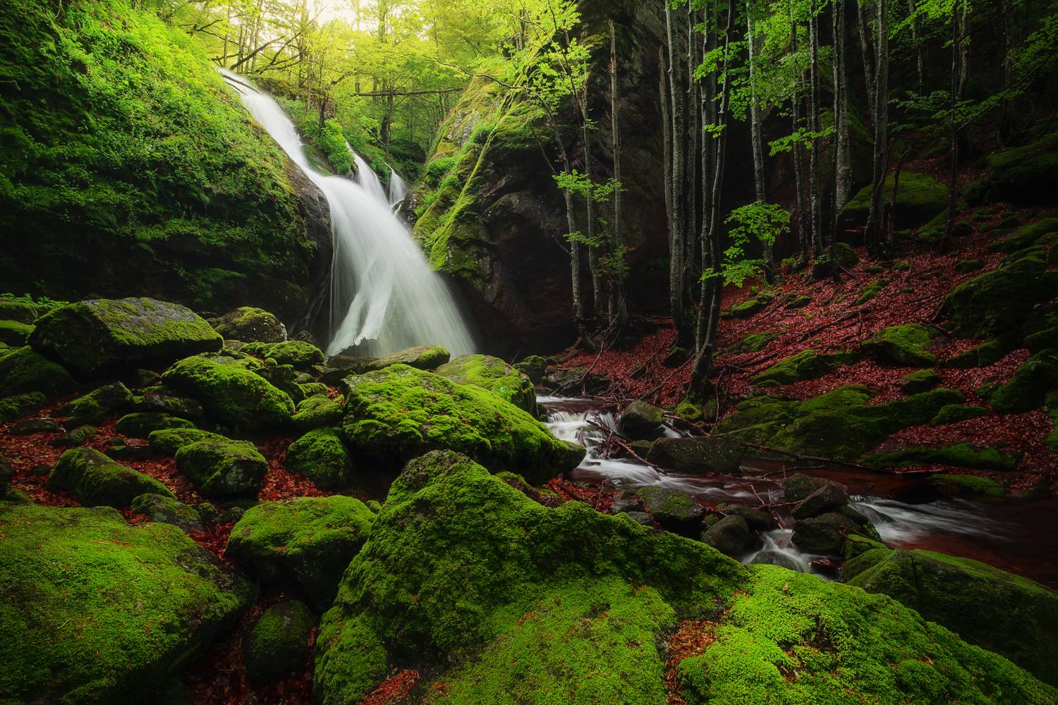 , Mariyana Atanasova - Lucero