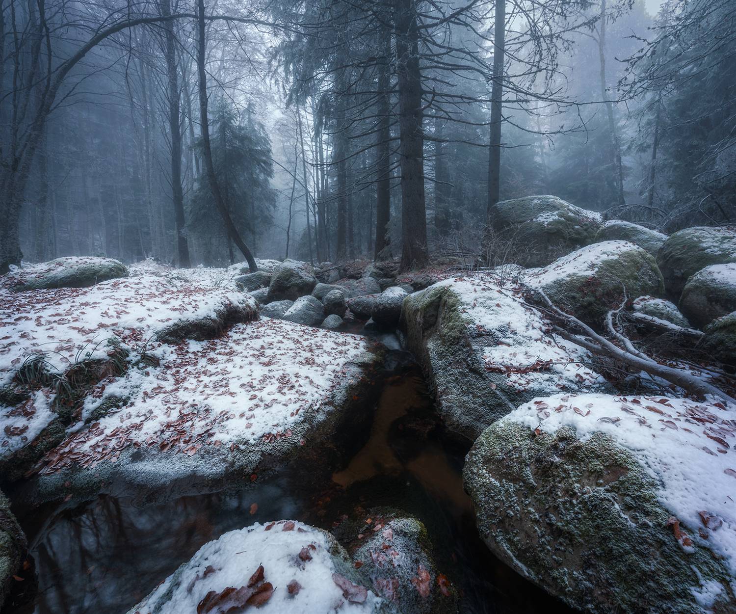 landscape nature scenery forest wood autumn rime mist misty fog foggy river mountain rocks vitosha bulgaria туман лес oсень, Александър Александров