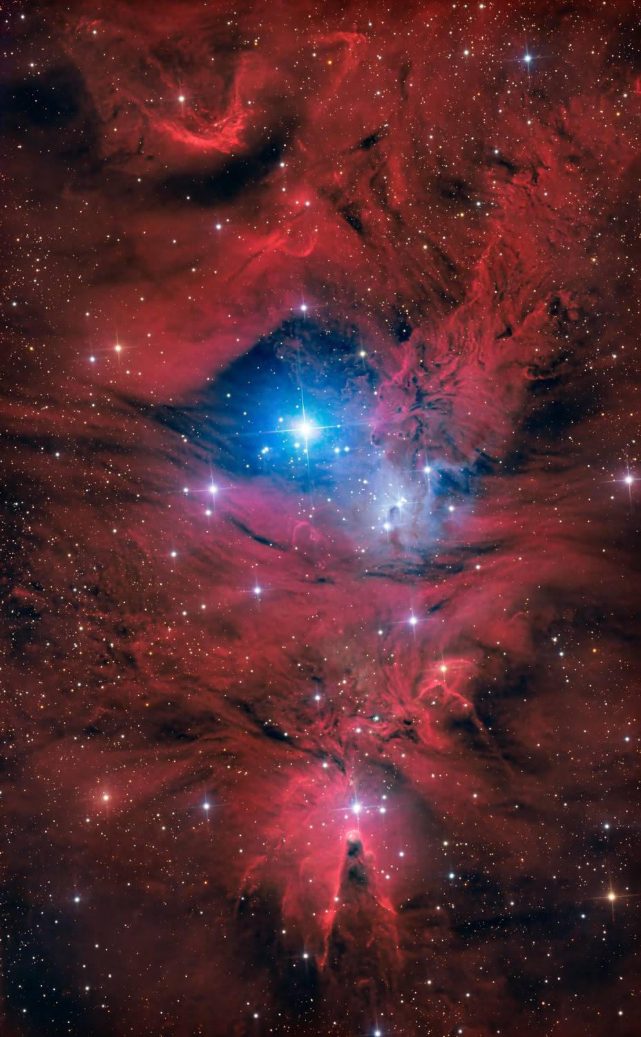 , Поляков Алексей