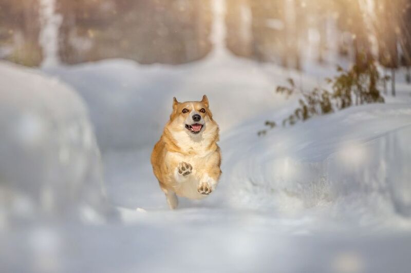 Я бегу к тебе!!!  фото превью