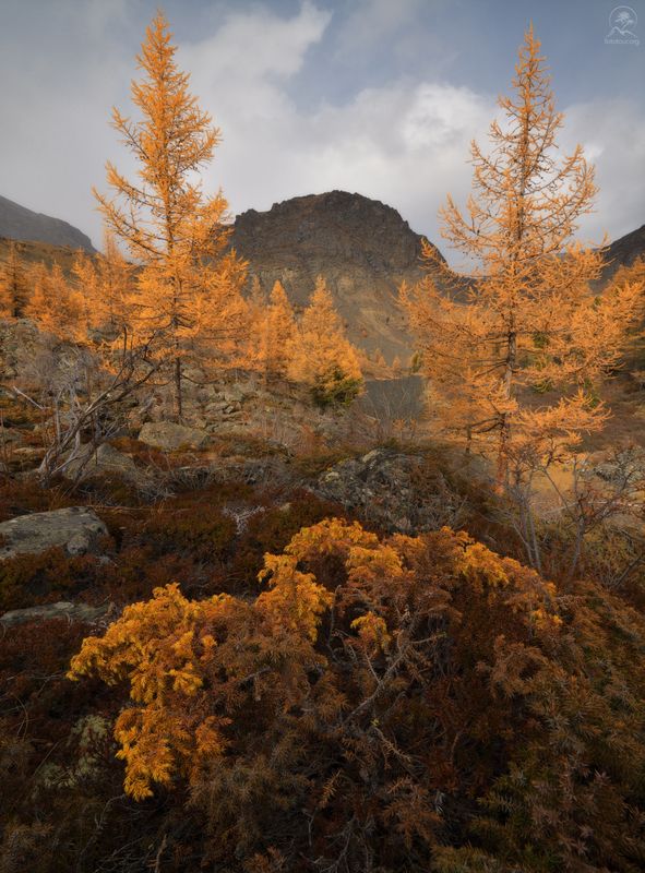 алтай, фототур по алтаю, осень, горы, горный алтай, республика алтай, куектанары Уходила осень... фото превью