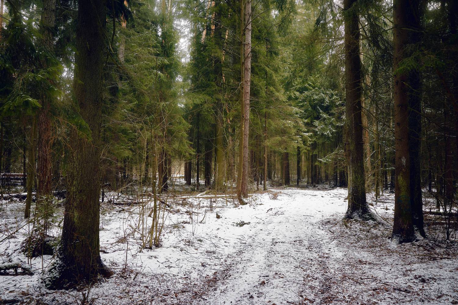 , Валерий Вождаев