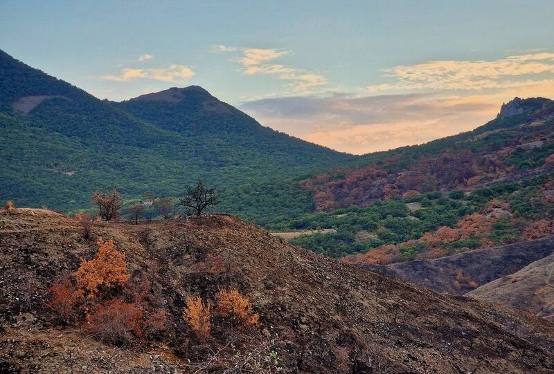 фото превью