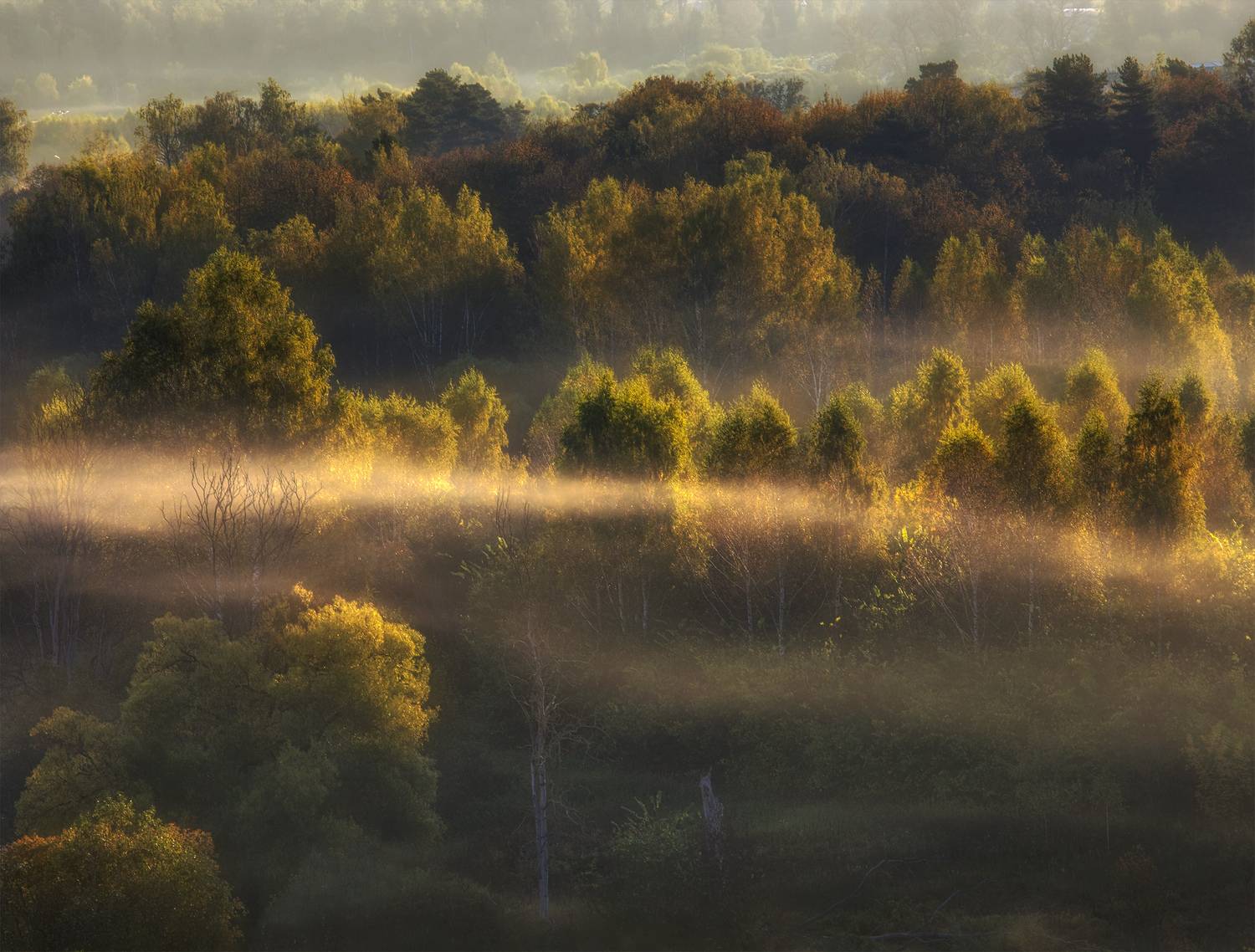 , Аседач Александр