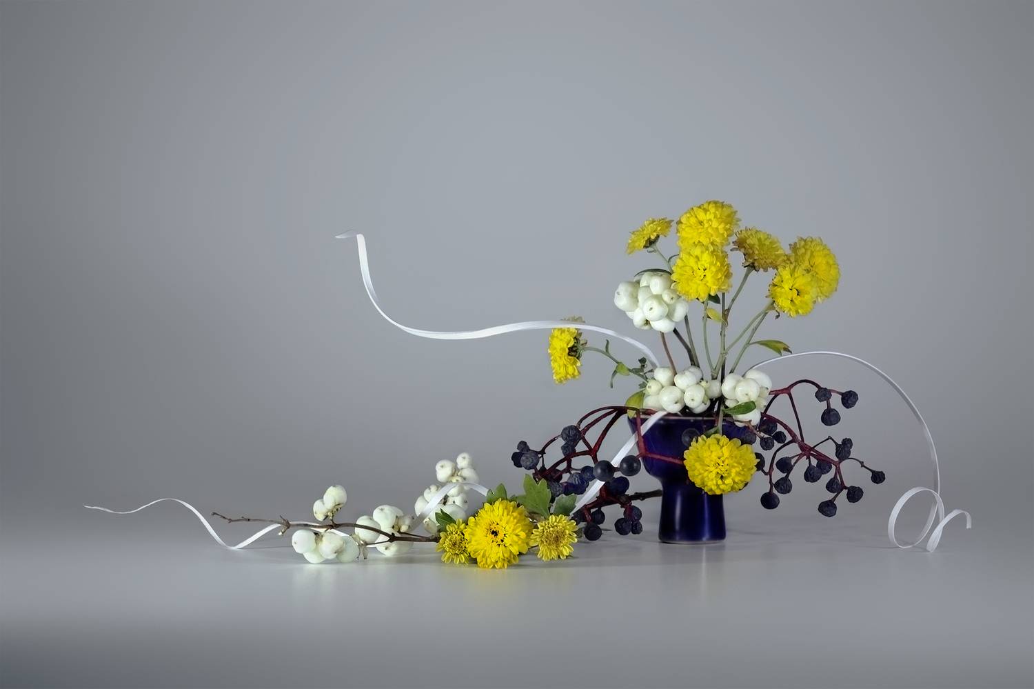 , Заболотская Ольга