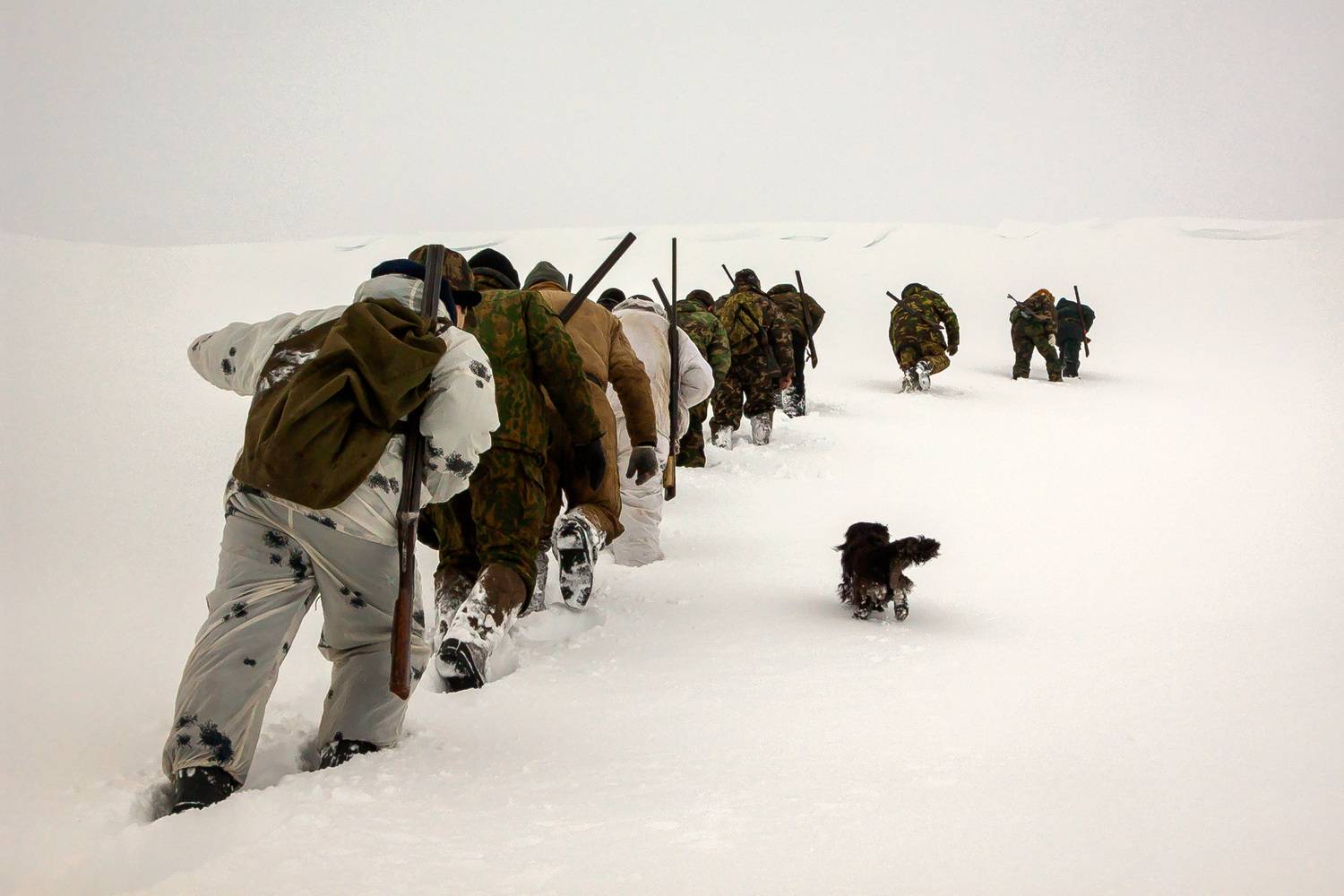 охотники, охота, мужчины, зима, охота на оленей, сопка, оружие, Уткин Дмитрий