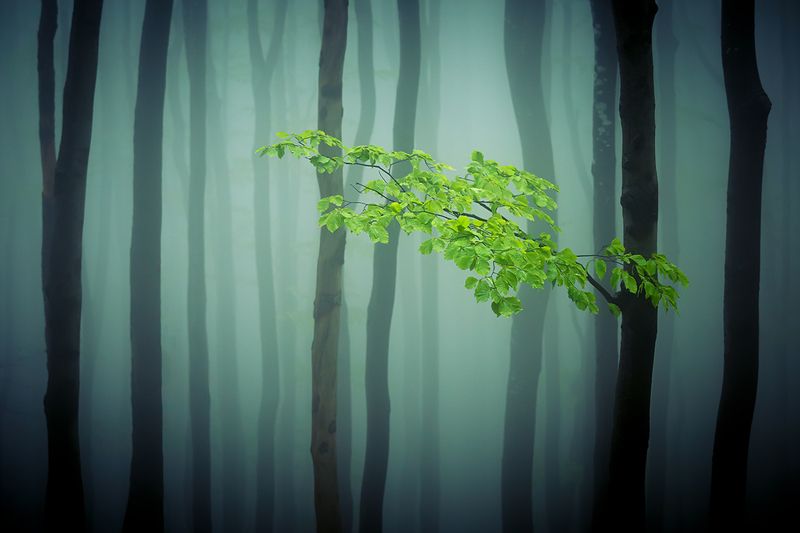 2024-05-01 фото превью