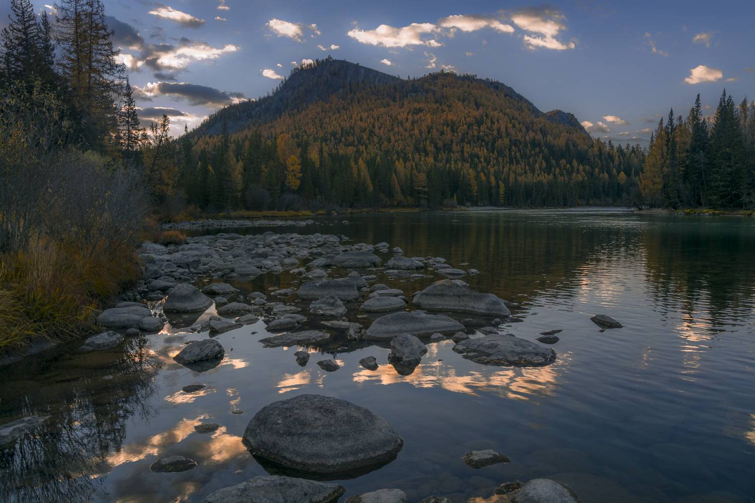 россия,горный алтай,река,утро,осень, Поляков Андрей