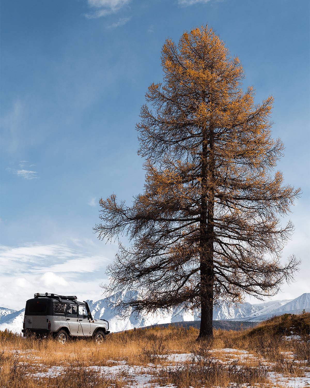 , Александр Артамонов