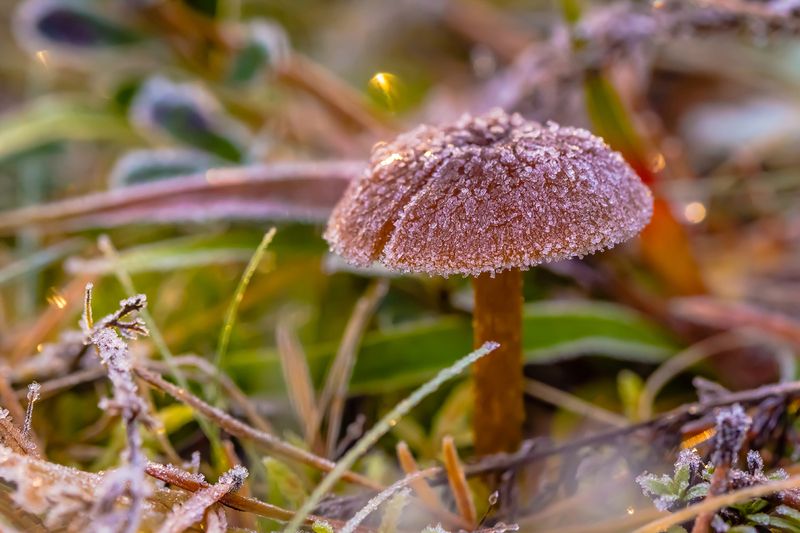 .... фото превью