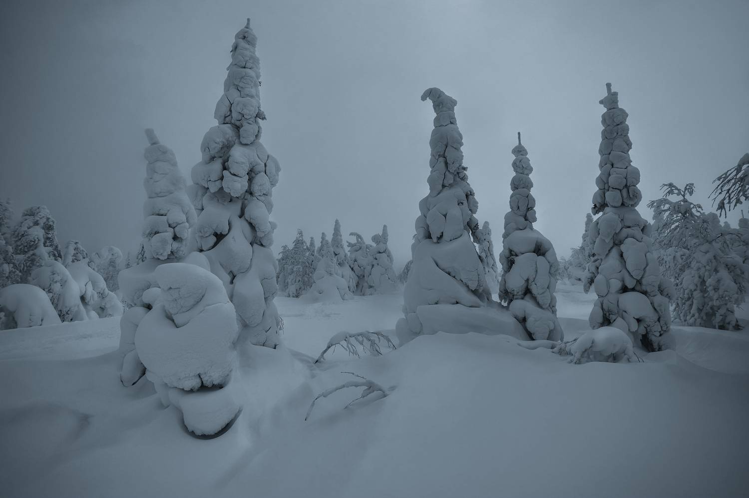 , Олег Герасимов