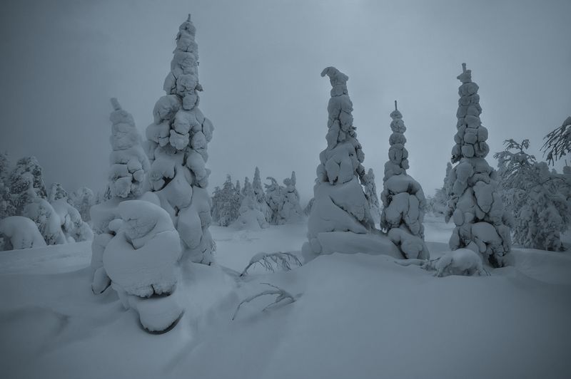 ГУХ фото превью