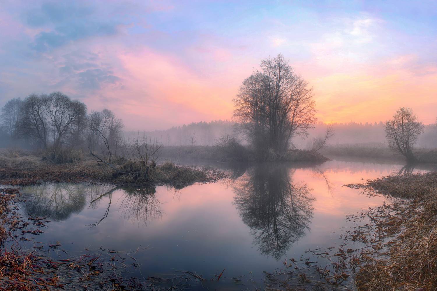 , Игорь Денисов