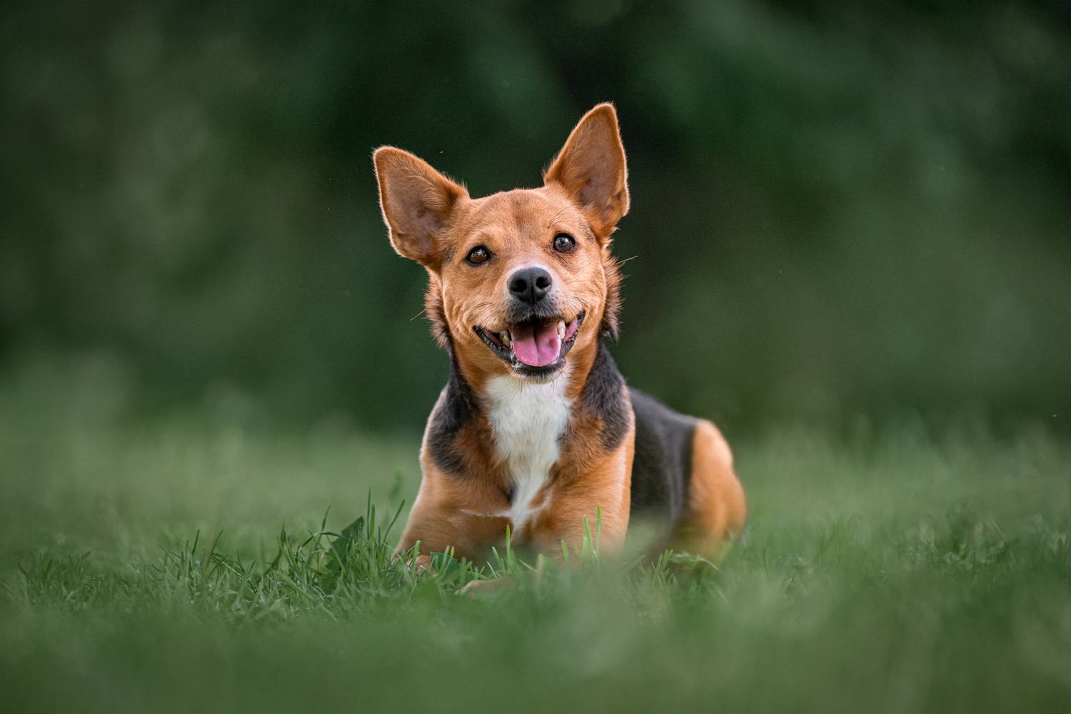 , Kriszti&aacute;n Csalami