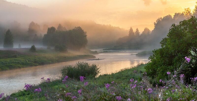 Сорок секунд иван-чайного вечера фото превью
