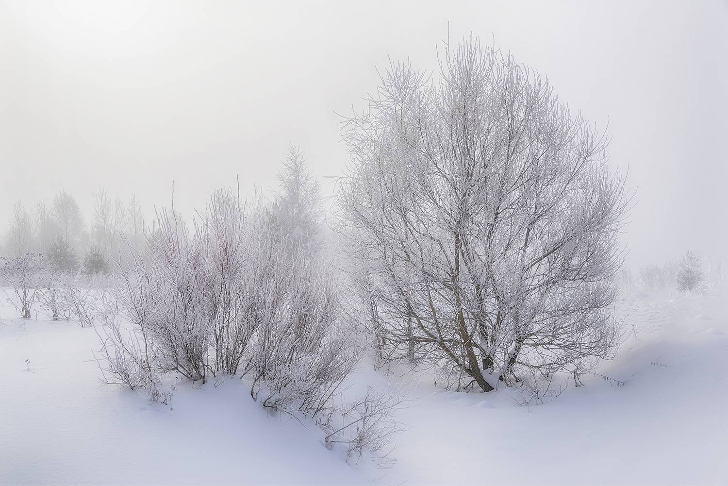 , Сергей Аникин