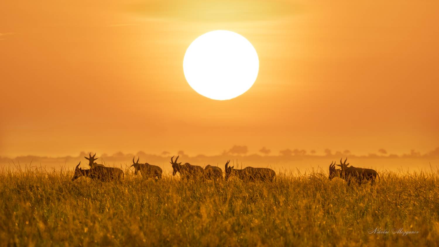 , Николай Мозгунов