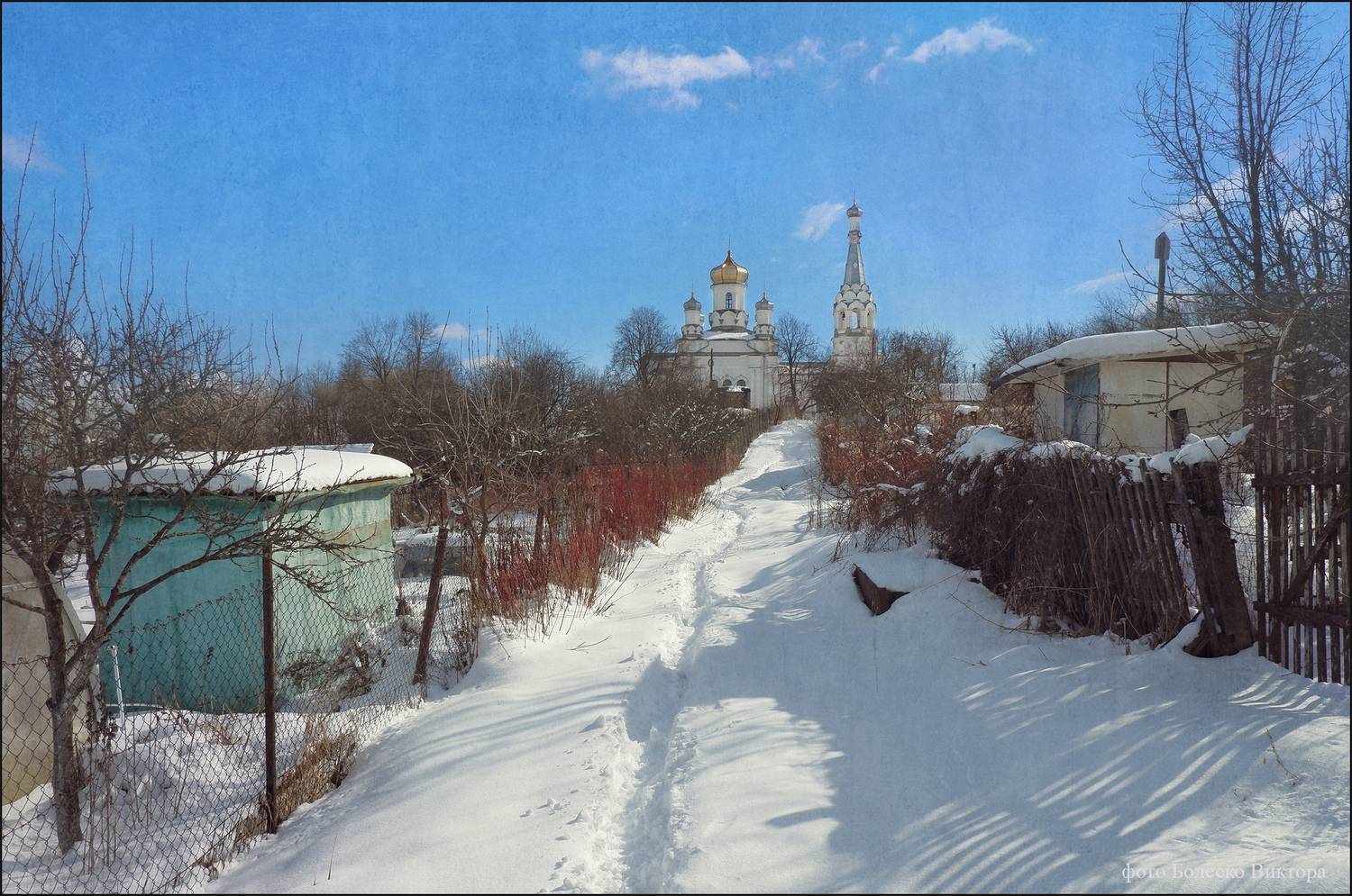 , Болеско Виктор