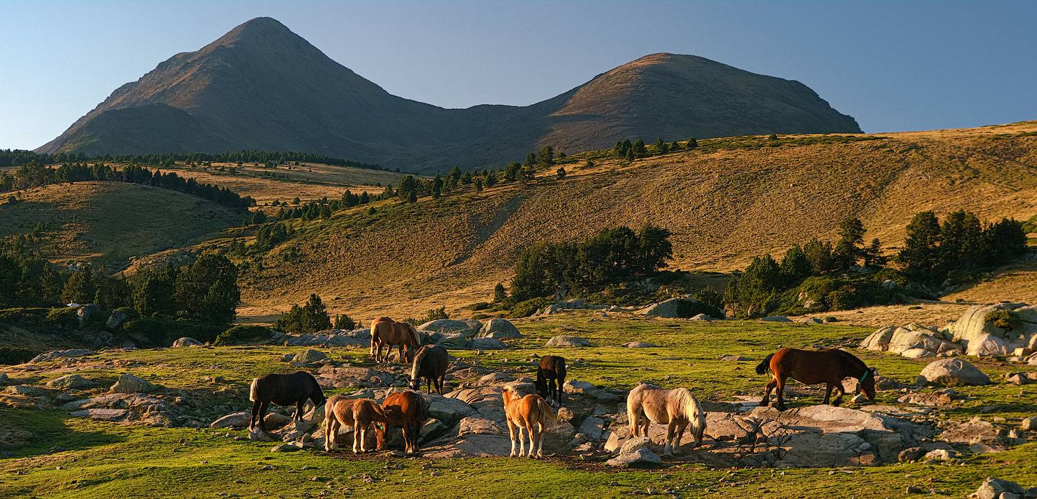 , Wojciech Tarnowski